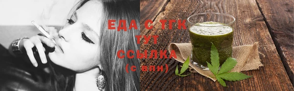 стаф Бородино