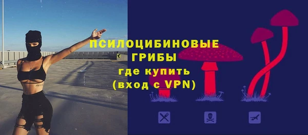эйфоретик Верея