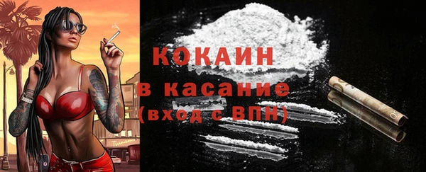 стаф Бородино