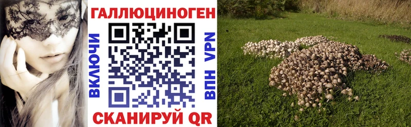 Псилоцибиновые грибы Magic Shrooms  купить   Воскресенск 