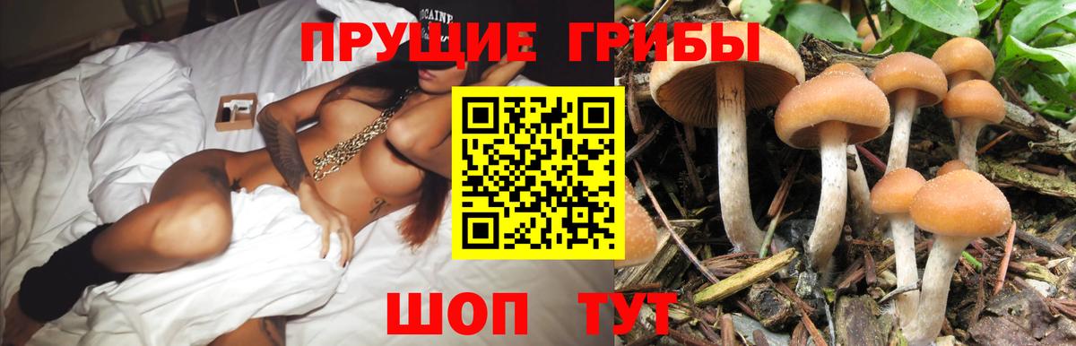 Воскресенск  Псилоцибиновые грибы GOLDEN TEACHER  Вход с VPN 